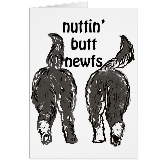 Newfoundland dogs (Front)