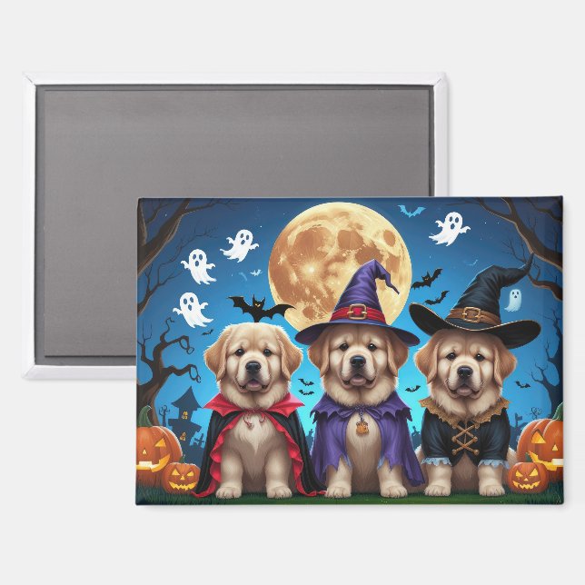 Newfoundland Dogs Pumpkin Halloween Funny  Magnet (Front/Back)