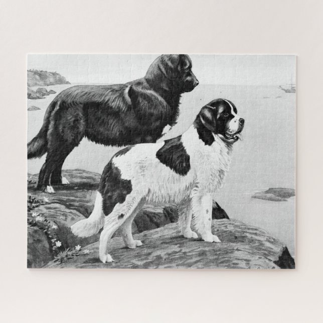 Newfoundland dogs - vintage illustration  jigsaw p puzzle (Horizontal)