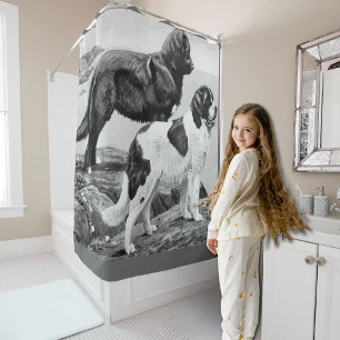 Newfoundland dogs - vintage illustration shower curtain