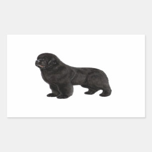 Newfoundland Drawing Rectangular Sticker