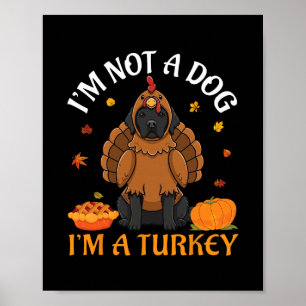 Newfoundland I’m Not A Dog I’m A Turkey Thanksgivi Poster