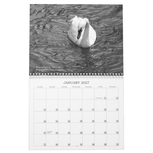 Newfoundland in Pictures: A 2013 Calendar (Jan 2027)