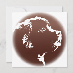 Newfoundland Invitations Personalised Dog Card