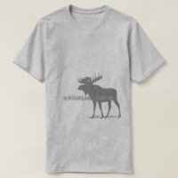 Newfoundland & Labrador Moose