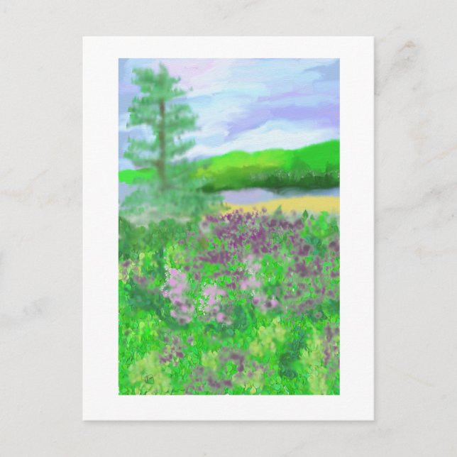 Newfoundland Landscape Art Postcard (Front)