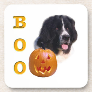 Newfoundland Landseer Halloween Boo Coaster