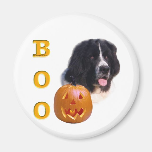 Newfoundland (landseer) Halloween Boo Magnet (Front)