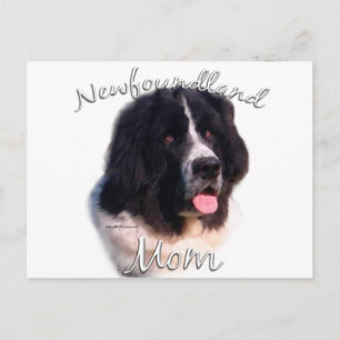 Newfoundland (landseer) Mum 2 Postcard