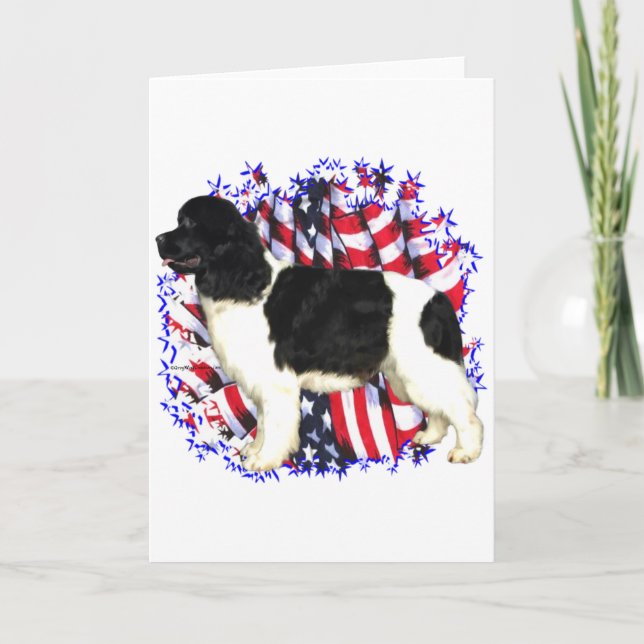 Newfoundland (landseer) Patriot Card (Front)