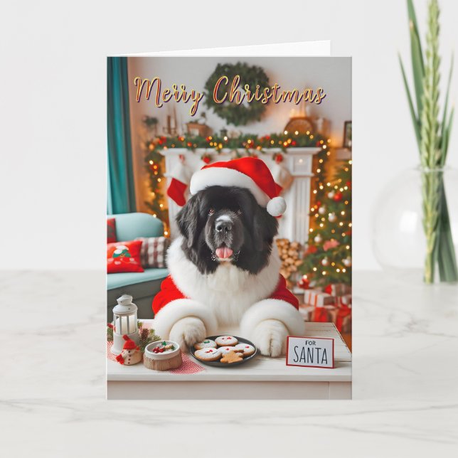 Newfoundland Landseer Placing Santa's Cookies Holiday Card (Front)