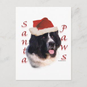 Newfoundland (landseer) Santa Paws Holiday Postcard
