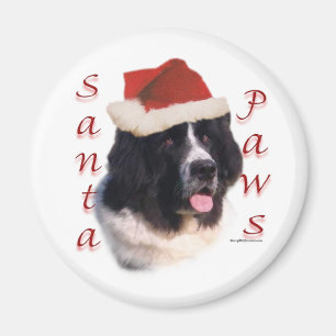 Newfoundland (landseer) Santa Paws Magnet