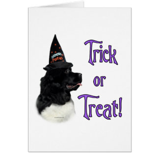 Newfoundland (landseer) Trick