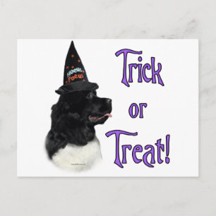 Newfoundland (landseer) Trick Postcard
