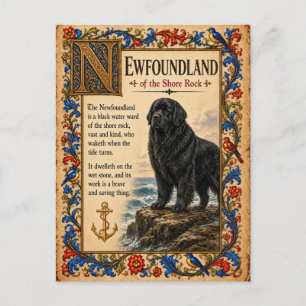 Newfoundland, Mediaeval Bestiary Art Postcard