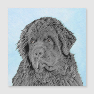 Newfoundland Painting - Cute Original Dog Art