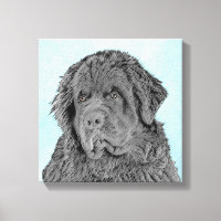 Newfoundland Painting - Cute Original Dog Art