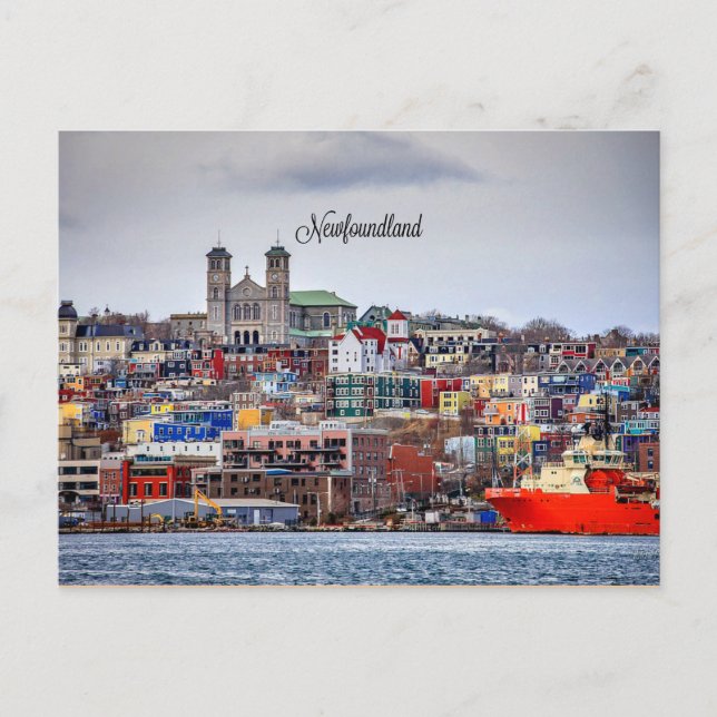 Newfoundland, panoramic cityscape photograph postcard (Front)