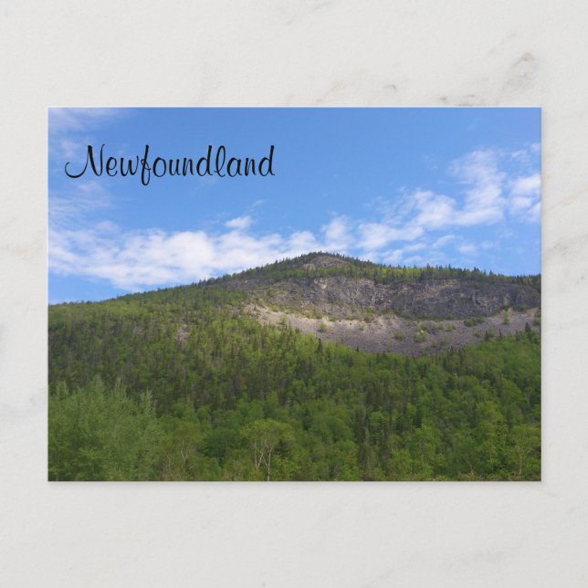 Newfoundland Postcard (Front)