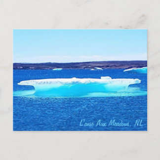 Newfoundland Postcard