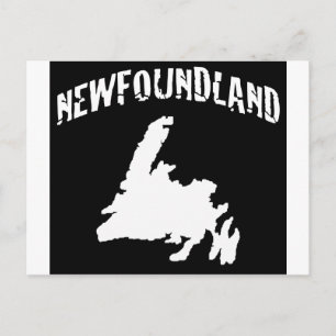 Newfoundland Postcard