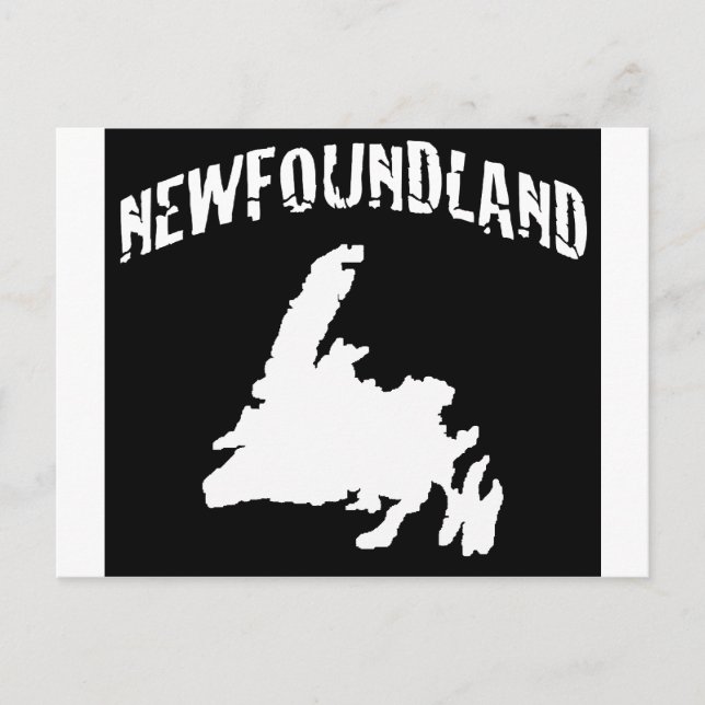 Newfoundland Postcard (Front)