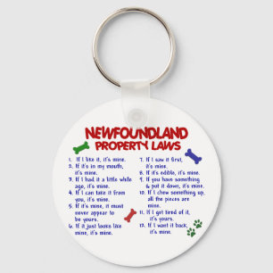 NEWFOUNDLAND Property Laws 2 Key Ring