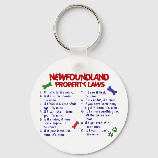 NEWFOUNDLAND Property Laws 2 Key Ring (Front)