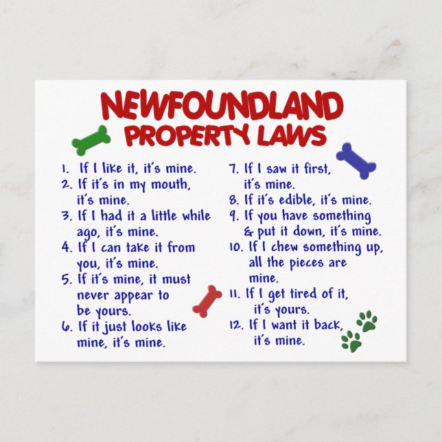 NEWFOUNDLAND Property Laws 2 Postcard (Front)