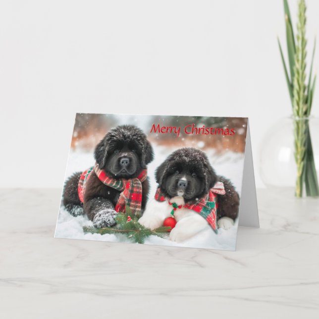 Newfoundland Puppies in Snow Christmas Card (Front)