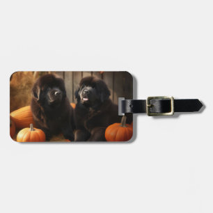 Newfoundland Puppy Autumn Delight Pumpkin Luggage Tag