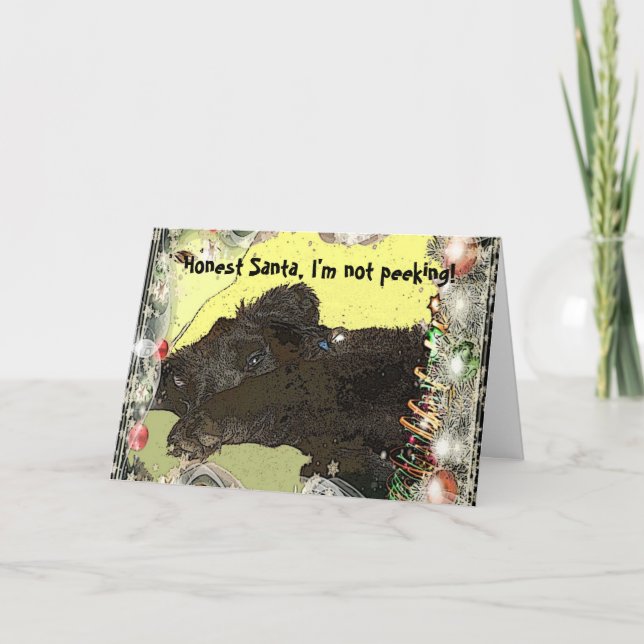 Newfoundland Puppy Christmas Card (Front)