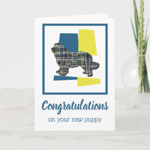 Newfoundland Puppy Dog Congratulations Greeting Card
