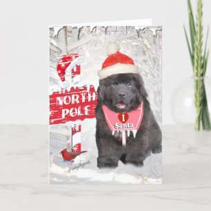 Newfoundland Puppy Loves Santa Cards