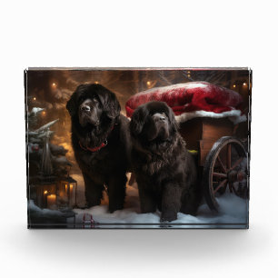 Newfoundland Snowy Sleigh Christmas Decor Photo Block