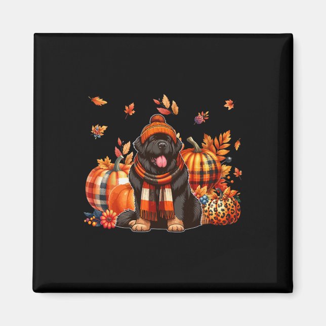 Newfoundland Thanksgiving Leopard Pumpkins Fall Le Magnet (Front)