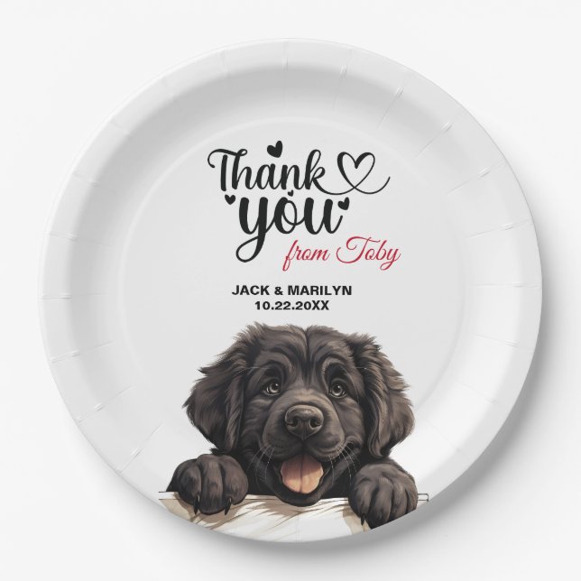 Newfoundland Wedding Thank You Paper Plate (Front)