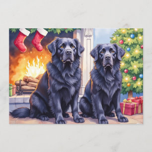 Newfoundlander Christmas Card