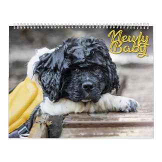 Newfy Baby Calendar