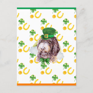 Newfypoo Shamrock St. Patricks Day Holiday Postcard