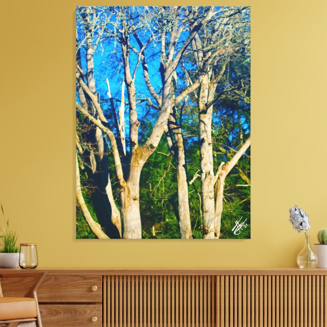 Newman Rd Whidbey Island Trees #1 Canvas Print (Insitu(LivingRoom))