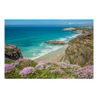 Newquay beach in North Cornwall wild flowers cliff