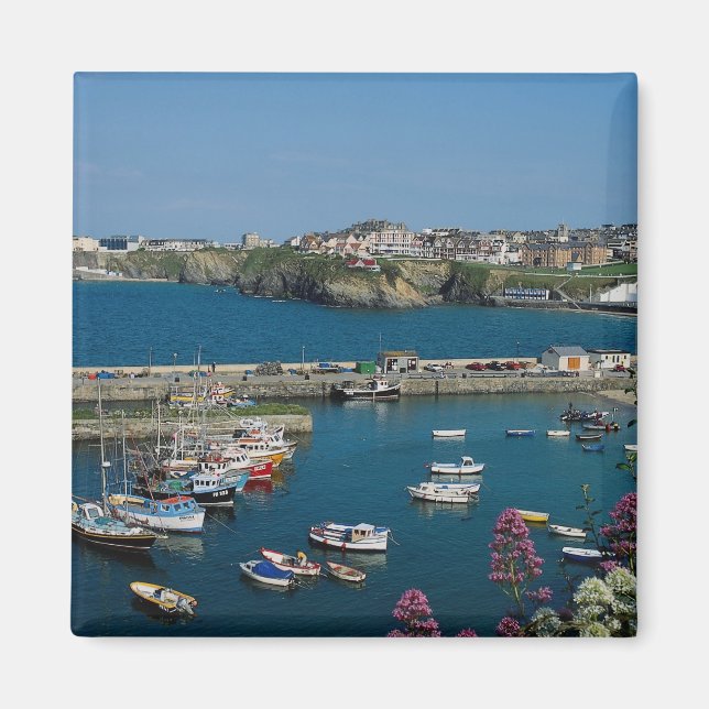 Newquay harbour, Cornwall, U.K. Magnet (Front)