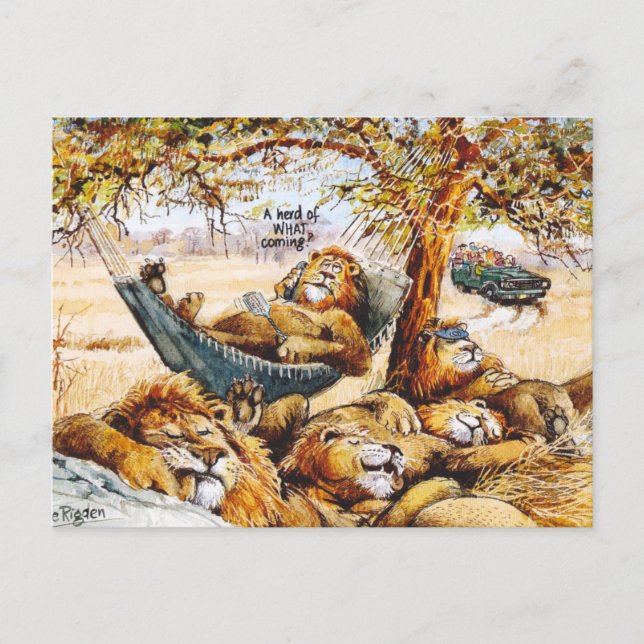 News travels fast postcard (Front)