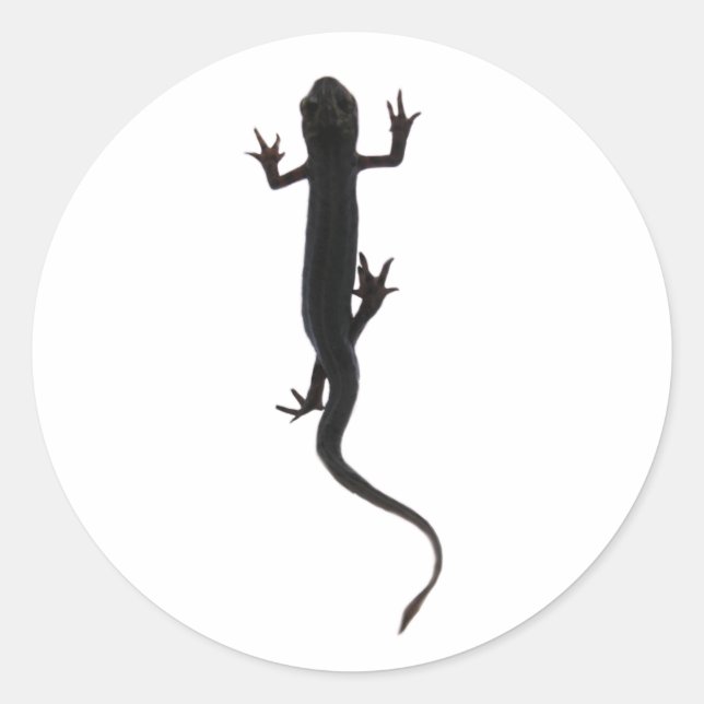 Newt amphibian creature silhouette classic round sticker (Front)
