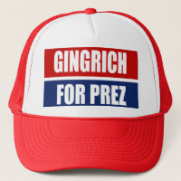 NEWT GINGRICH CAMPAIGN GEAR
