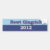 Newt Gingrich Political