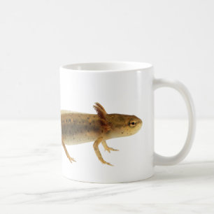 Newt Larva Mug