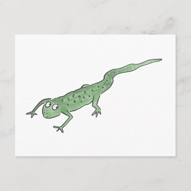 Newt Postcard (Front)